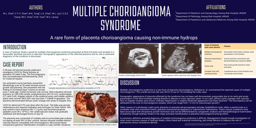 Preview of Multiple chorioangioma syndrome - a rare form of placenta chorioangioma causing non-immune hydrops