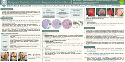 Thumbnail for MALIGNANT PHYLLODES TUMOR IN PREGNANCY: A CASE REPORT