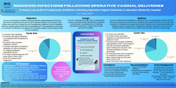 Thumbnail for A Closed Loop Audit of Prophylactic Antibiotics Following Operative Vaginal Deliveries