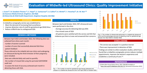 Preview of Evaluation of Midwife-led Ultrasound Clinics: Quality Improvement Initiative