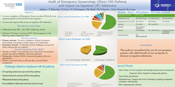Thumbnail for Audit of Emergency Gynae USS pathway, review of utilization of USS appointments