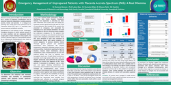 Thumbnail for Emergency management of unprepared patients with placenta accrete spectrum. A real dilemma