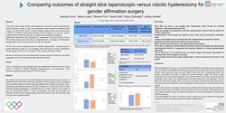 Thumbnail for Comparing straight stick laparoscopic versus robotic hysterectomy outcomes for gender affirmation surgery