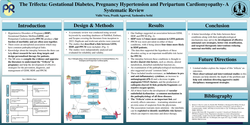 Thumbnail for The Trifecta: Gestational Diabetes, Pregnancy Hypertension and Peripartum Cardiomyopathy- A Systematic Review