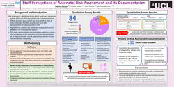 Preview of Maternity Services Staff Perceptions of Antenatal Risk Assessment and its Documentation