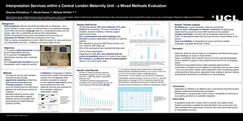 Preview of Interpretation Services within a Central London Maternity Unit - a Mixed Methods Evaluation