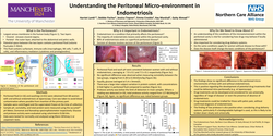 Thumbnail for Understanding the Peritoneal Micro-environment in Endometriosis