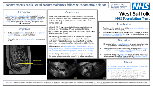 Preview of Haematometra and bilateral haematosalpinges following endometrial ablation – A Case Report