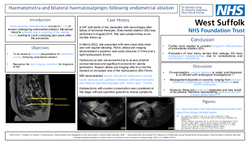 Thumbnail for Haematometra and bilateral haematosalpinges following endometrial ablation – A Case Report