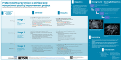 Thumbnail for Preterm birth prevention: a clinical and educational quality improvement project