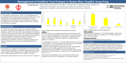 Thumbnail for Management of Umbilical Cord Prolapse in Queen Mary Hospital, Hong Kong