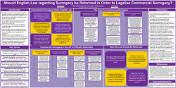 Thumbnail for Should English Surrogacy Law be Reformed in Order to Legalise Commercial Surrogacy?