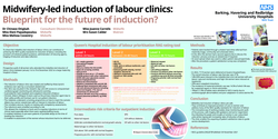 Thumbnail for Midwifery-led induction of labour clinics: Blueprint for the future of induction?