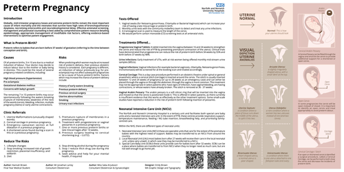 Preview of Preterm Birth Prevention Compendium