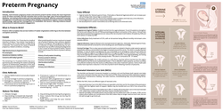 Thumbnail for Preterm Birth Prevention Compendium