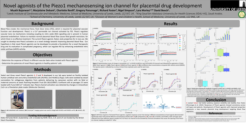 Preview of Novel agonists of the Piezo1 mechanosensing ion channel for placental drug development