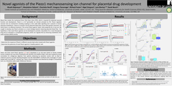 Thumbnail for Novel agonists of the Piezo1 mechanosensing ion channel for placental drug development