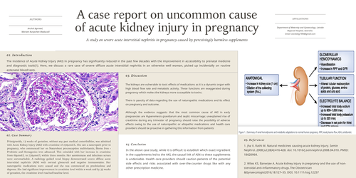 Preview of A case report on uncommon cause of acute kidney injury in pregnancy