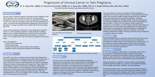 Preview of Progression of Cervical Cancer in a Twin Pregnancy