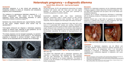 Thumbnail for Heterotopic pregnancy -a diagnostic dilemma