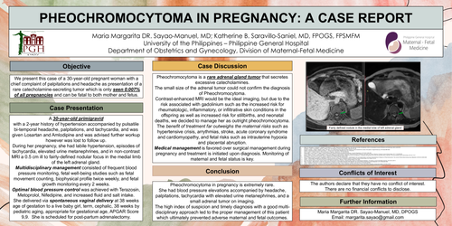 Preview of PHEOCHROMOCYTOMA IN PREGNANCY: A CASE REPORT