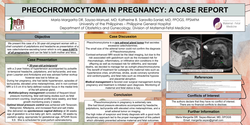 Thumbnail for PHEOCHROMOCYTOMA IN PREGNANCY: A CASE REPORT