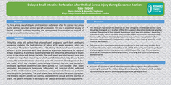 Thumbnail for Delayed Small Intestine Perforation After An Ileal Serosa Injury during Caesarean Section