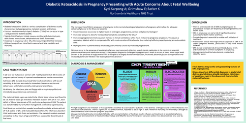 Preview of Diabetic Ketoacidosis in Pregnancy Presenting with Acute Concerns About Fetal Wellbeing