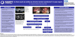 Thumbnail for Is there such an entity as chronic torsion syndrome? A case report