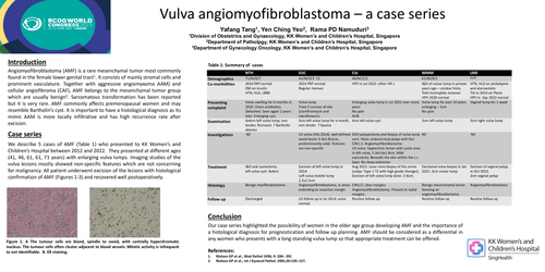Preview of Angiomyofibroblastoma of the vulva