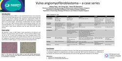 Thumbnail for Angiomyofibroblastoma of the vulva
