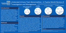 Thumbnail for Antenatal Urinary Tract Abnormalities – A Twelve Month Review of Investigation and Management