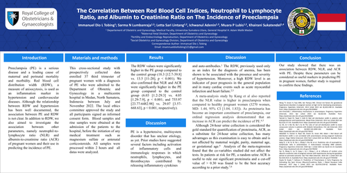 Preview of A multivariate logistic regression: Parameters for predicting severity of preeclampsia in Indonesia