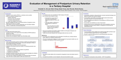 Thumbnail for Evaluation of Management of Postpartum Urinary Retention in a Tertiary Hospital