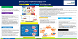 Thumbnail for RECURRENT URINARY TRACT INFECTIONS IN PREGNANCY & THE MATERNAL MICROBIOME; A REVIEW.
