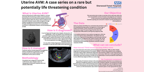 Preview of Uterine AVM: A case series of a rare but potentially dangerous finding