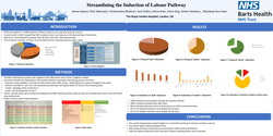 Thumbnail for Streamlining the Induction of Labour Pathway - A Quality improvement project