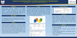 Thumbnail for Cervical cancer during Covid pandemic: are patients presenting with more advanced tumours?