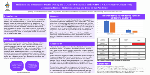 Preview of Stillbirths and Intrauterine Foetal Deaths during the COVID-19 Pandemic at the UHWI