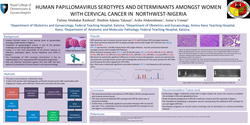 Thumbnail for HUMAN PAPILLOMAVIRUS SEROTYPES AND DETERMINANTS AMONGST WOMEN WITH CERVICAL CANCER IN NIGERIA