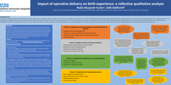 Thumbnail for Impact of operative delivery on birth experience: a reflective qualitative analysis