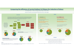 Thumbnail for Comparing the efficiency of Cervical balloon Versus Dilapan for induction of labour