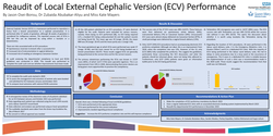 Thumbnail for Reaudit of Local External Cephalic Version (ECV) Performance