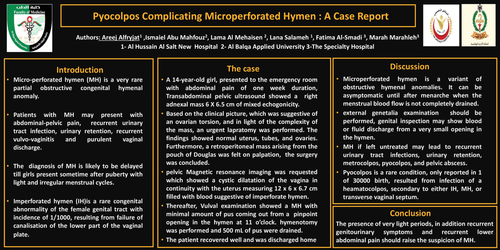 Preview of Microperforate Hymen and Pyocolpos: A Case Report