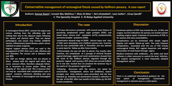 Thumbnail for Conservative management of rectovaginal fistula caused by Gellhorn pessary: A case report.