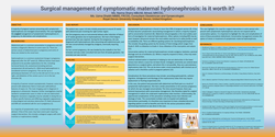Thumbnail for Surgical management of symptomatic maternal hydronephrosis: is it worth it?