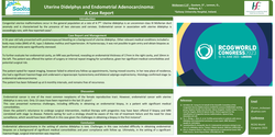 Thumbnail for Uterine Didelphys and Endometrial Adenocarcinoma – A Case Report