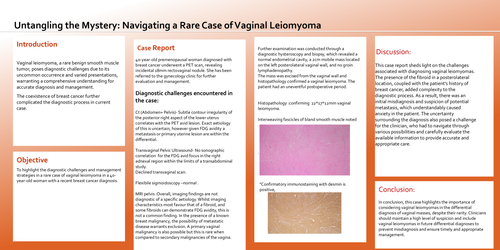 Preview of Untangling the Mystery: Navigating a Rare Case of Vaginal Leiomyoma