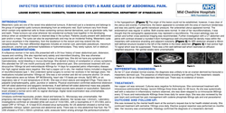 Thumbnail for Infected Mesenteric Dermoid Cyst: A Rare Cause of Abdominal Pain.