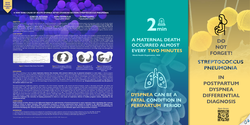 Thumbnail for A VERY RARE CAUSE OF ACUT DİSPNEA AFTER CESAREAN SECTİON ; STREPTOCOCCUS PNEUMONİAE